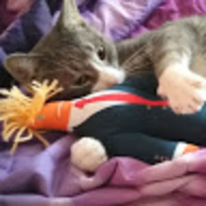 Meet your Posher, Brenna